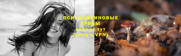 jwh Мегион