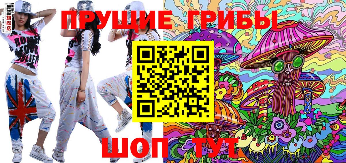 Псилоцибиновые грибы MAGIC MUSHROOMS  Вход с VPN  Нарткала 